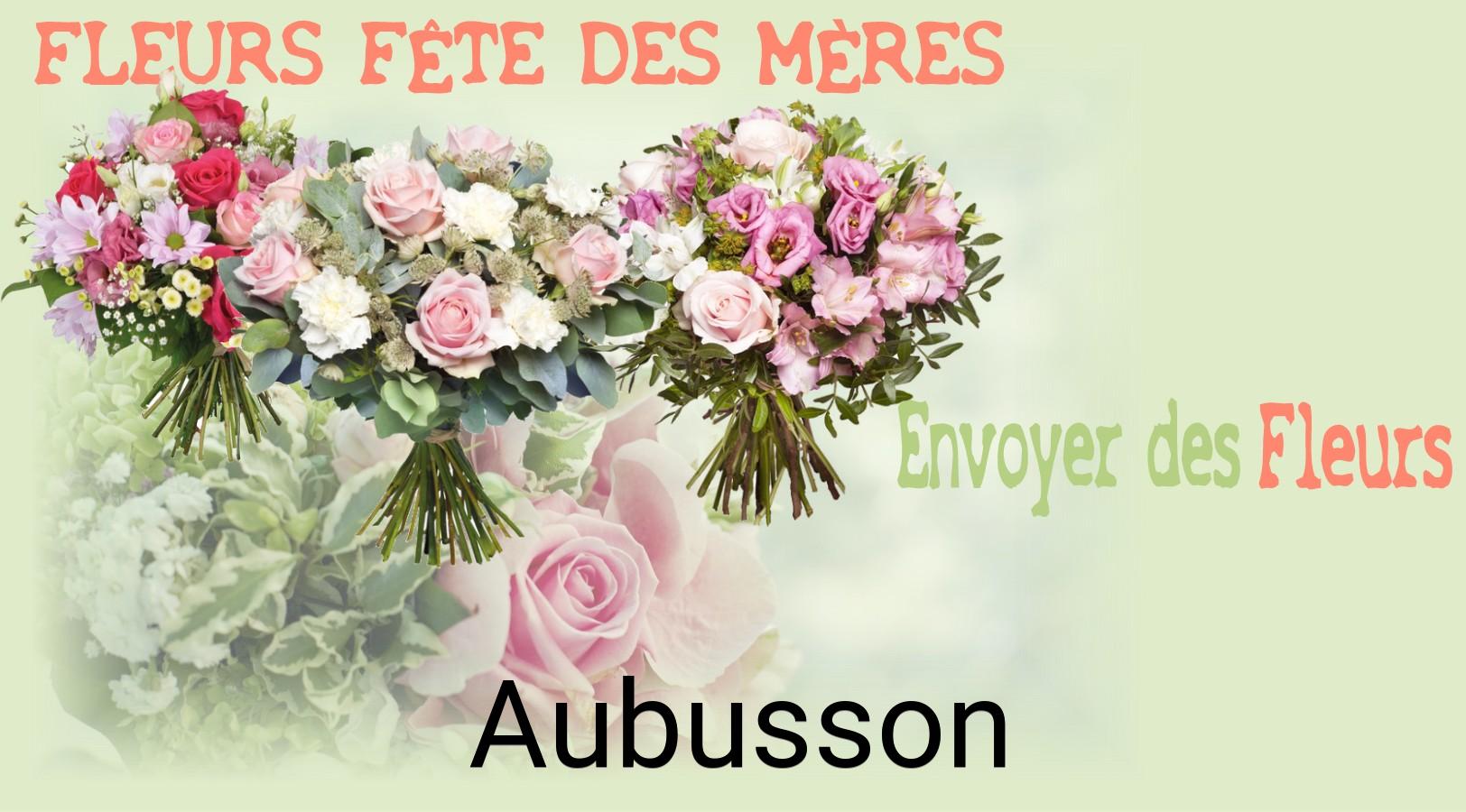 Bouquet de Fête des Mères livré à Aubusson