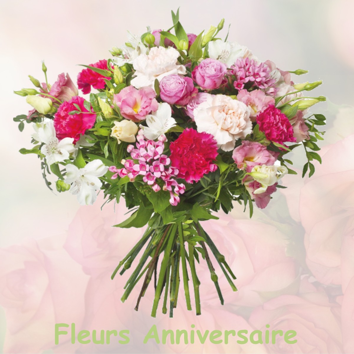 fleurs anniversaire AUBUSSON